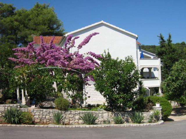 Apartments Sarah Medvinjak Esterno foto